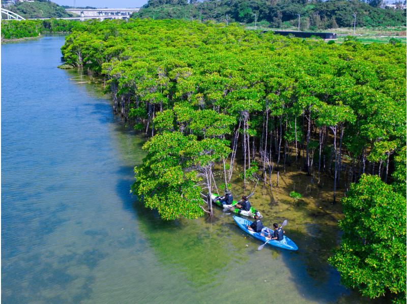 [โอกินาว่า แม่น้ำโอคุบิ] ทัวร์เรือคายัคป่าชายเลน ทริปพายเรือคายัคผจญภัยไปยังแม่น้ำป่าชายเลนกึ่งเขตร้อนและทะเล♪ (พร้อมบริการถ่ายภาพและวิดีโอ)の紹介画像