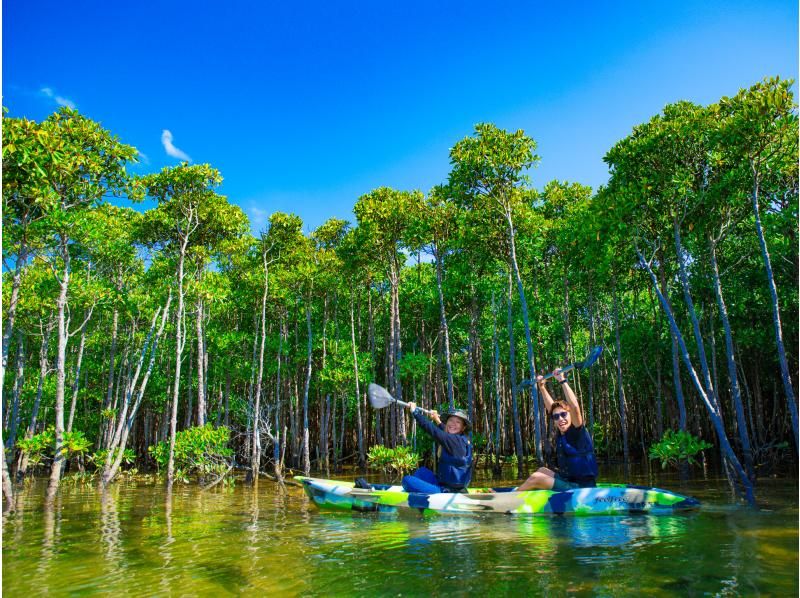 [โอกินาว่า แม่น้ำโอคุบิ] ทัวร์เรือคายัคป่าชายเลน ทริปพายเรือคายัคผจญภัยไปยังแม่น้ำป่าชายเลนกึ่งเขตร้อนและทะเล♪ (พร้อมบริการถ่ายภาพและวิดีโอ)の紹介画像