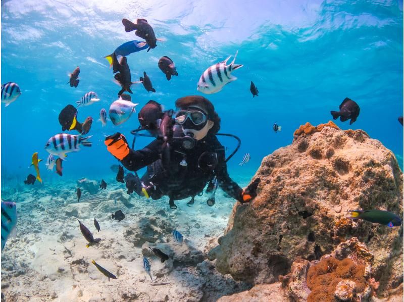 [Okinawa, Onna Village] Churaumi Experience Diving (1 dive) | Popular spot "Clownfish Paradise". A dedicated guide is available for exclusive use, so beginners can feel at ease.の紹介画像