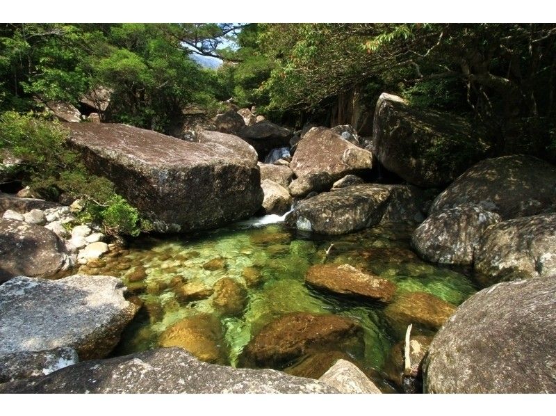 [คาโกชิมา / ยูกุชิมะ] Trek Jenoguchi Falls Course (แผนการเดินทางแบบไปเช้าเย็นกลับ) การมีส่วนร่วมนั้นใช้ได้ตั้งแต่อายุ 10 ขวบ!の紹介画像