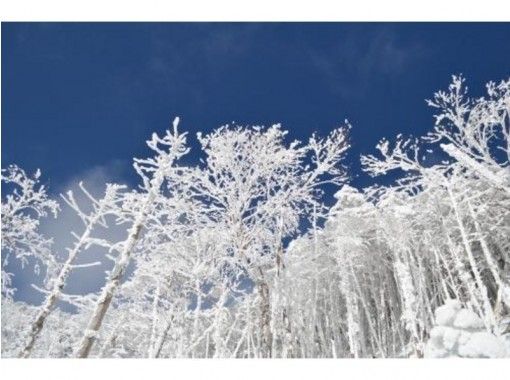 長野 八ヶ岳 初心者にもおすすめ 北横岳 雪山登山 アクセス良好で日帰りプラン アクティビティジャパン