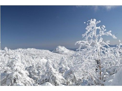 長野 八ヶ岳 初心者にもおすすめ 北横岳 雪山登山 アクセス良好で日帰りプラン アクティビティジャパン