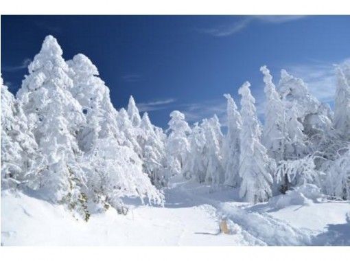 長野 八ヶ岳 初心者にもおすすめ 北横岳 雪山登山 アクセス良好で日帰りプラン アクティビティジャパン