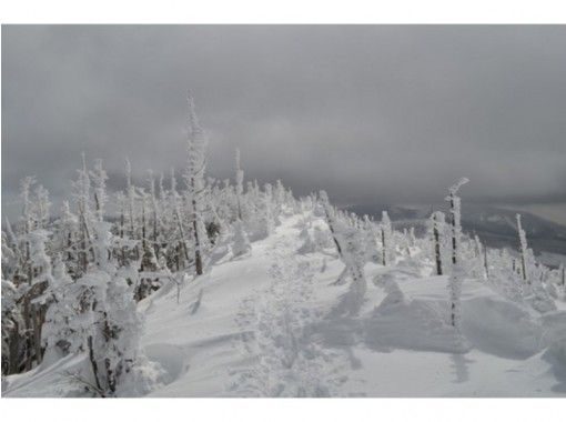 長野 八ヶ岳 初心者にやさしい雪山 縞枯山 茶臼山 登山 ロープウェイ利用 送迎あり １５才 Ok アクティビティジャパン