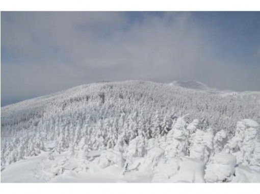 長野 八ヶ岳 初心者にやさしい雪山 縞枯山 茶臼山 登山 ロープウェイ利用 送迎あり １５才 Ok アクティビティジャパン