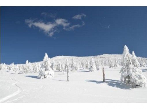 長野 八ヶ岳 初心者にやさしい雪山 縞枯山 茶臼山 登山 ロープウェイ利用 送迎あり １５才 Ok アクティビティジャパン