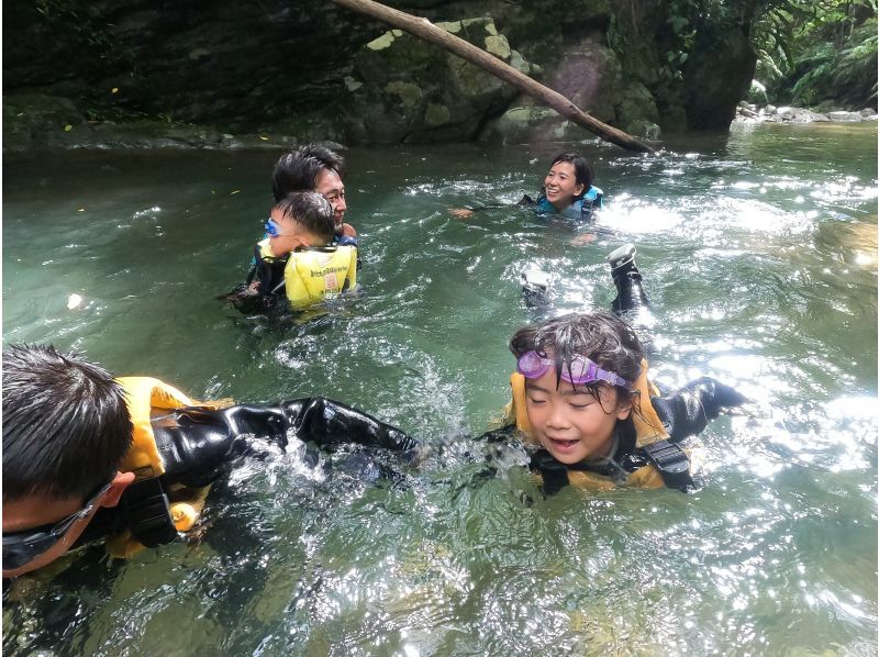 [Private tour for one group] Jurassic World, Yanbaru Forest, River Trekking (for small children) ★Photos and videos includedの紹介画像