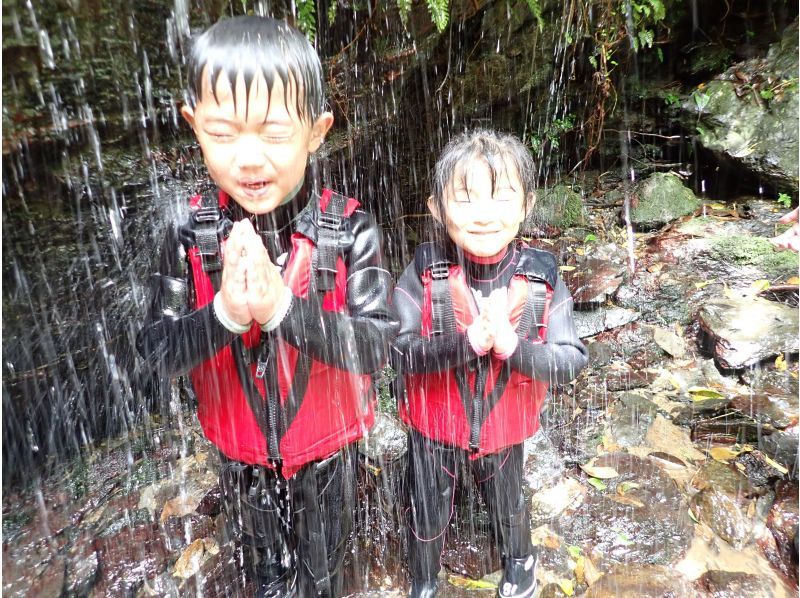 【預約1團】侏羅紀世界、山原森林、溪流徒步（適合幼兒）★內含照片和視頻の紹介画像