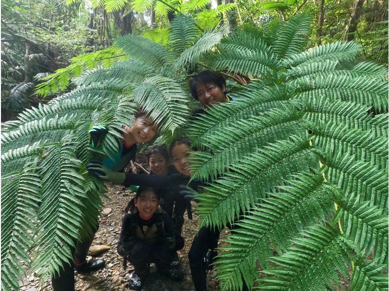 [Private tour for one group] Jurassic World, Yanbaru Forest, River Trekking (for small children) ★Photos and videos includedの紹介画像