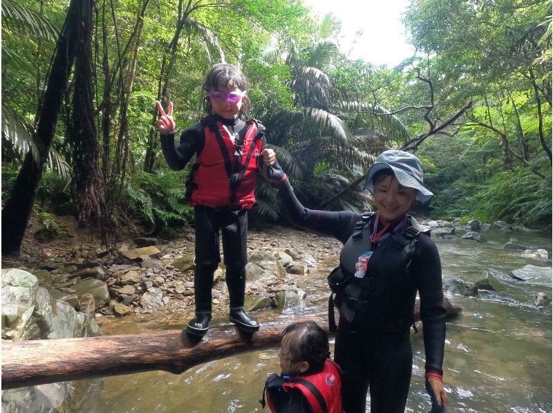 [Private tour for one group] Jurassic World, Yanbaru Forest, River Trekking (for small children) ★Photos and videos includedの紹介画像