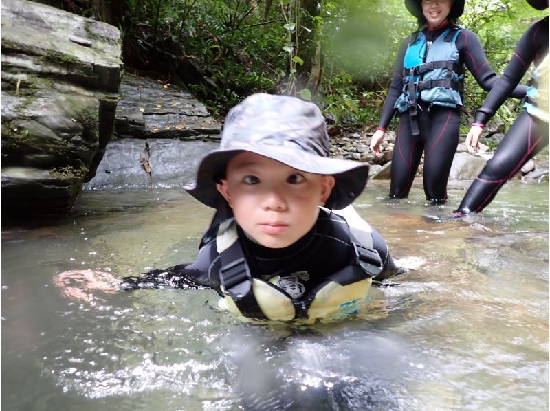 [Private tour for one group] Jurassic World, Yanbaru Forest, River Trekking (for small children) ★Photos and videos includedの紹介画像
