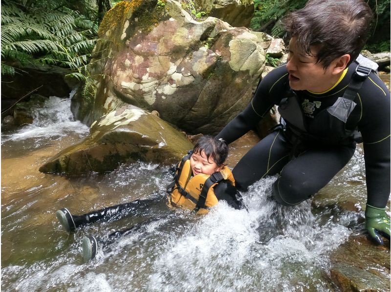 [Private tour for one group] Jurassic World, Yanbaru Forest, River Trekking (for small children) ★Photos and videos includedの紹介画像