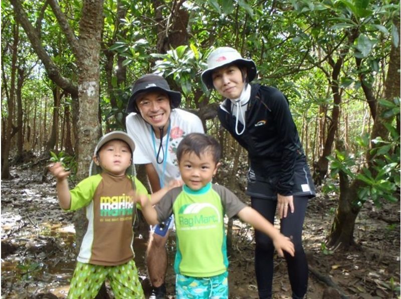 [冲绳名护]享受！满意！红树林探险学习课程【皮艇·徒步旅行】の紹介画像