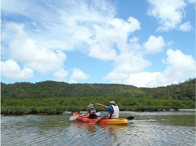 [冲绳名护]享受！满意！红树林探险学习课程【皮艇·徒步旅行】の紹介画像