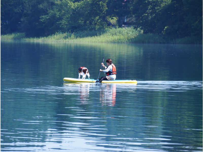 SALE！【長野・青木湖】長野県で一番の透明度を誇る、北アルプスの鏡、　青木湖で初めてのSUP(2時間）の紹介画像