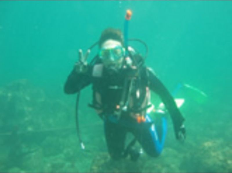 [東京都杉並區] PADI水肺潛水員課程[許可]の紹介画像