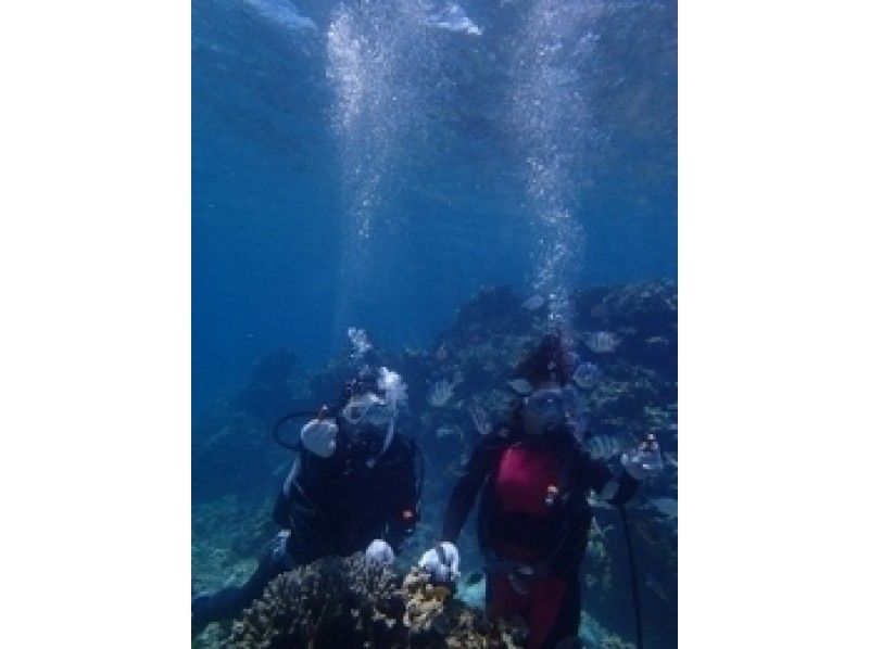 [ 오키나와 이시가키] 어린이 OK! 빠나리 섬 체험 다이빙 코스の紹介画像