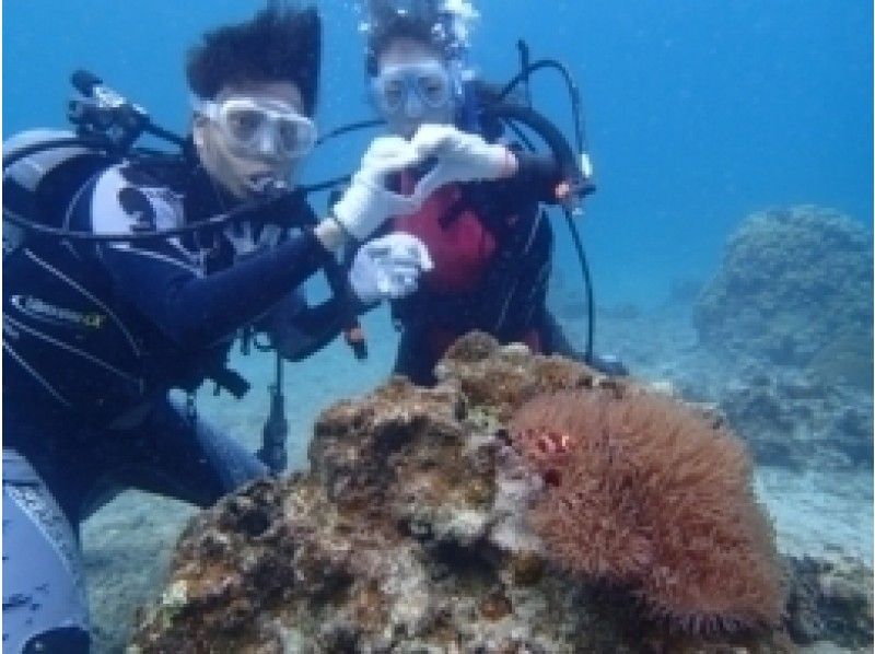 【 冲绳 ·石垣】孩子们好！体验Panali岛上的深潜课程の紹介画像