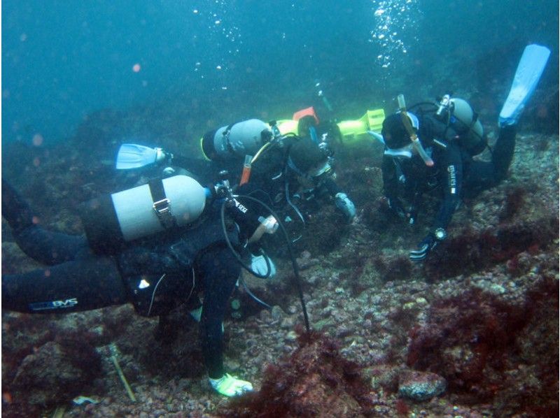 [静岡-東伊豆】讓我們成為“潛水員”！ PADI開放水域潛水員課程[C卡獲取]の紹介画像