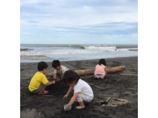 宮崎県 青島 木崎浜 プロサーファーと一緒に波乗り 中 上級者向けサーフガイド アクティビティジャパン