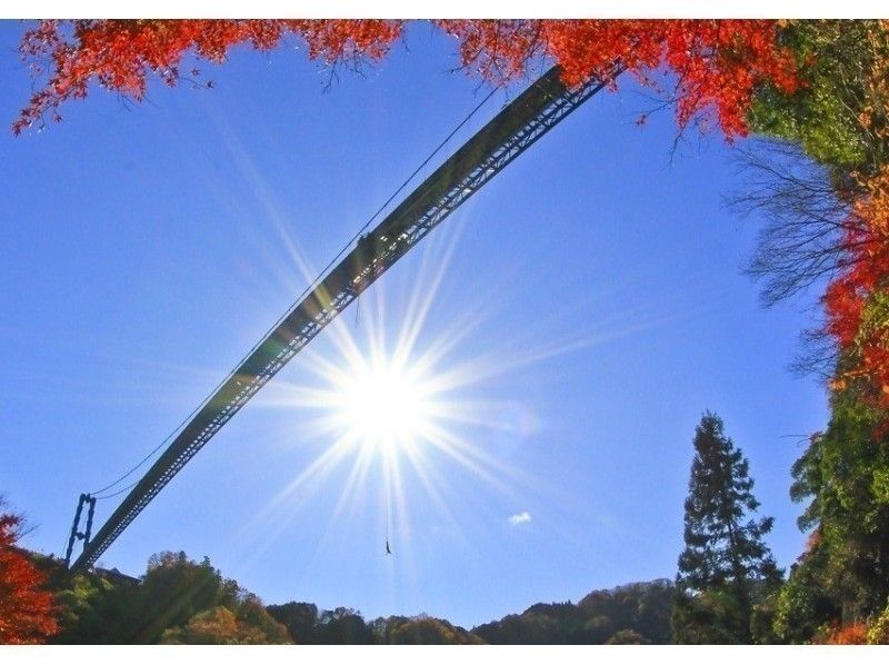 Nationwide bungee jumping summary, Japan's highest ranking, basic information