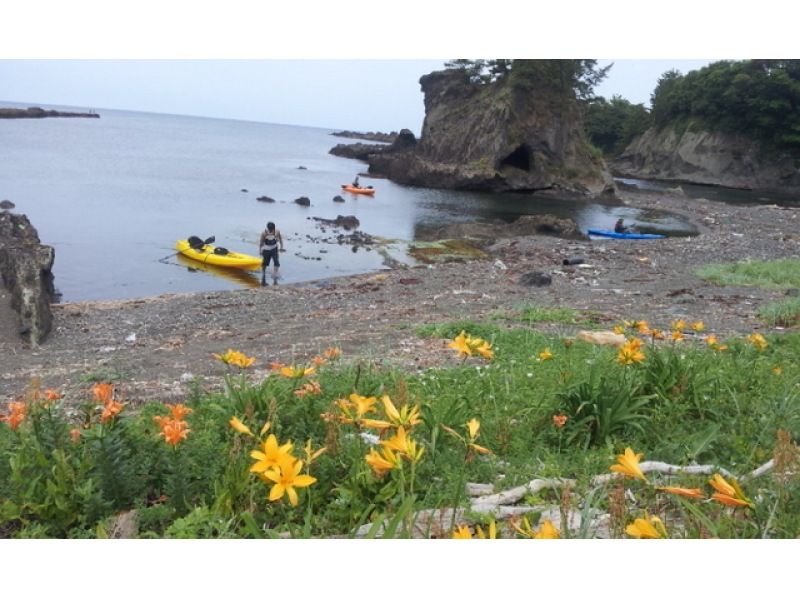 [Niigata/Sado Island] Let's enjoy nature! Blue Cave Sea Kayak Tour (3 hours) (for foreign tourists) Campaign!! \2,500 OFFの紹介画像