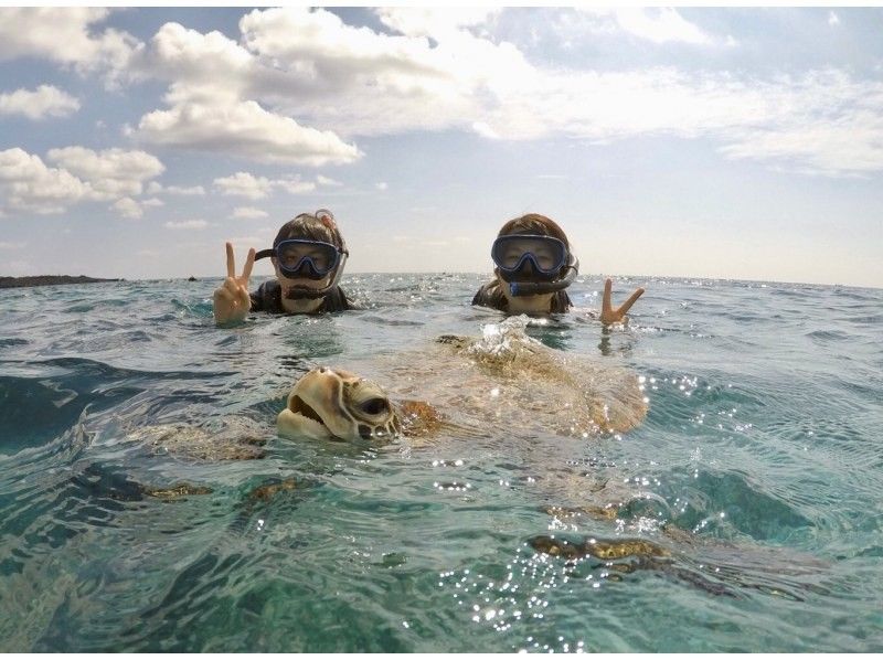 [โอกินาว่ามิยาโกจิม่า] ราคาครบรอบ 5 ปี! เต่าทะเลและปะการังการดำน้ำตื้น(Snorkeling)☆ของที่ระลึกจากภาพถ่าย☆の紹介画像