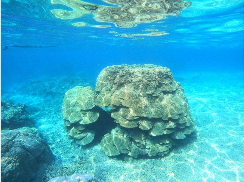[Miyakojima] {English guide available} Spectacular coral reef snorkeling. You can even see sea turtles! Rain is OK! Lunch included. All photo data is free.の紹介画像