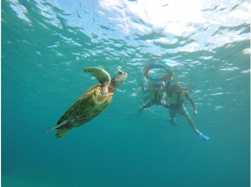 沖縄 宮古島 大人気 シュノーケリングマスク付きプラン オプション ウミガメ サンゴ礁シュノーケリング フォトツアー アクティビティジャパン