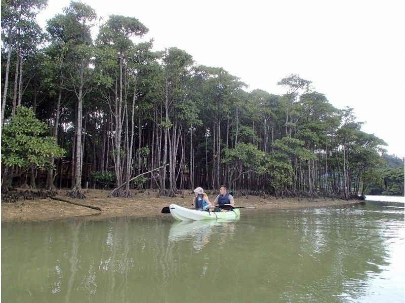 [沖繩恩納]紅樹林皮艇の紹介画像