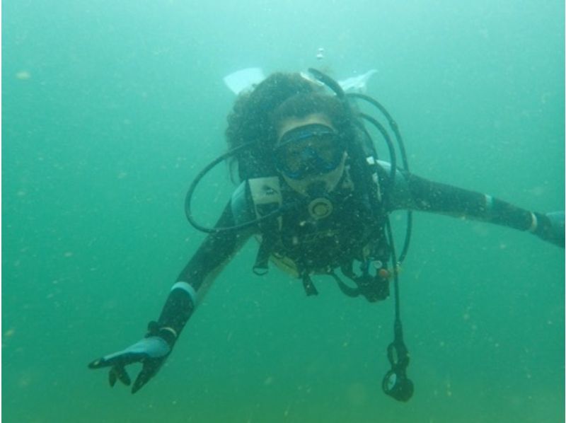 [Kagawa Seto Inland Sea 2 beach diving in niobium / - Takuma! (Fan diving)の紹介画像