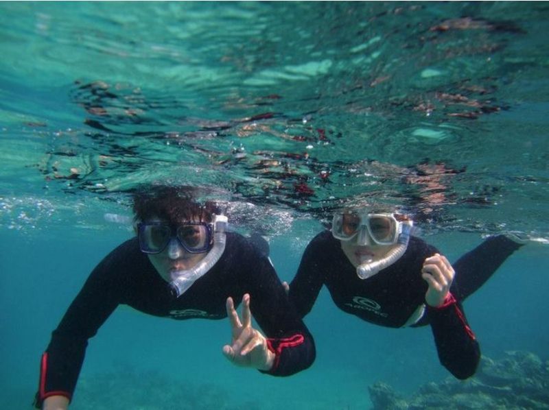 [冲绳-石垣岛】体验八重山海！在为期一天的课程中浮潜很棒！ 【午餐】の紹介画像