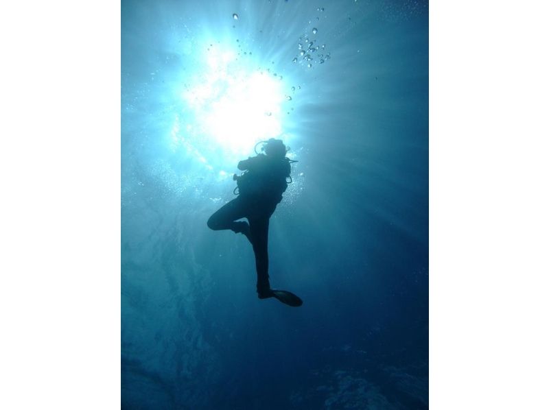 【 沖縄 · 石垣島 】潛水區域是所有領域八重山群島！範深潛の紹介画像