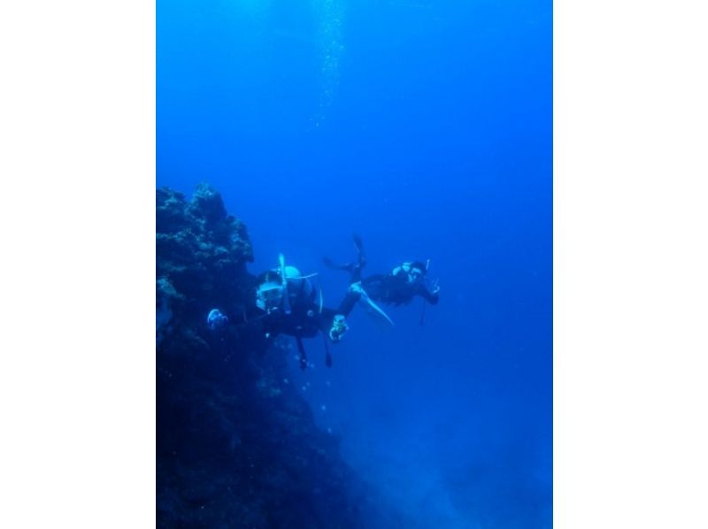[Okinawa ・ Ishigaki island Beginners welcome! Experience over Yaeyama Islands Diving(half-day course)の紹介画像