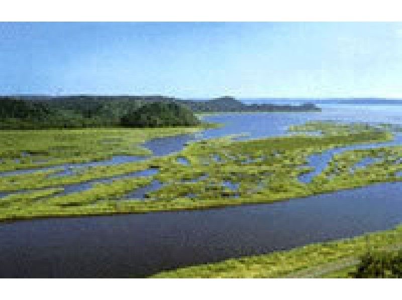 【北海道・厚岸別寒辺牛川上流部】ヒグマに出会える！？【厚岸別寒辺牛湿原ハーフコースA】の紹介画像