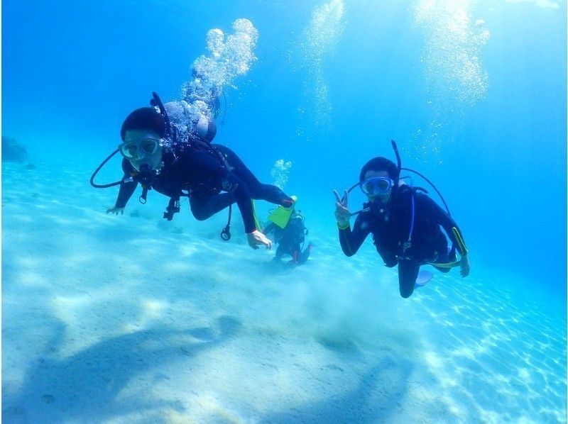[那覇出發/慶祝活動持有/ 1天]經驗深潛（2次潛水）|在藍色的大海，白色沙灘和豐富的珊瑚中體驗2次潛水の紹介画像