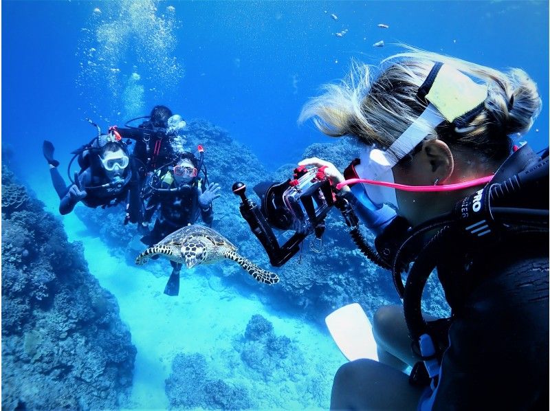[นาฮาออกเดินทาง / Kerama จัดขึ้น / 1 วัน] ประสบการณ์ดำน้ำ(2 ไดฟ์) | สัมผัสการดำน้ำ 2 ไดฟ์ในทะเลสีฟ้าหาดทรายขาวและปะการังที่อุดมสมบูรณ์の紹介画像