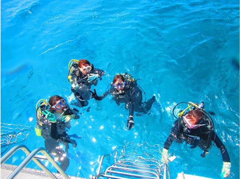 [那霸出发/庆祝活动持有/ 1天]经验深潜（2次潜水）|在蓝色的大海，白色沙滩和丰富的珊瑚中体验2次潜水の紹介画像