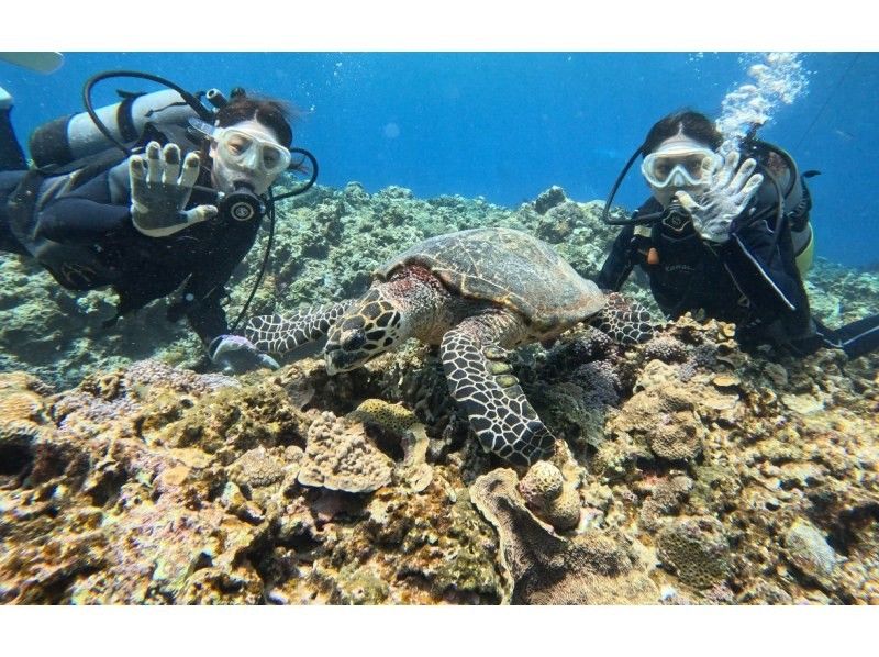 慶良間ボート体験ダイビング2本＆シュノーケル【那覇市発】初心者歓迎・貸切制　慶良間諸島 体験ダイビングの紹介画像