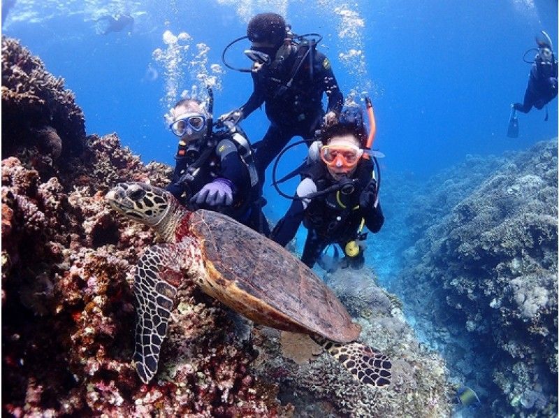 [นาฮาออกเดินทาง / Kerama จัดขึ้น / 1 วัน] ประสบการณ์ดำน้ำ(2 ไดฟ์) | สัมผัสการดำน้ำ 2 ไดฟ์ในทะเลสีฟ้าหาดทรายขาวและปะการังที่อุดมสมบูรณ์の紹介画像