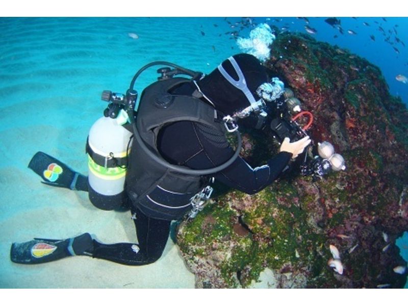 [鹿兒島縣大島郡]初學者！體驗潛水嘗試正常享受奄美的海！の紹介画像