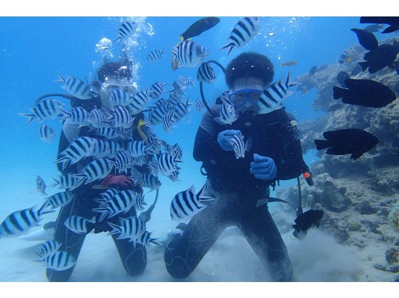 [Okinawa Northern / Headquarters] participate in peace with children! underwater Experience to feel the world close Diving(Beach dive)の紹介画像