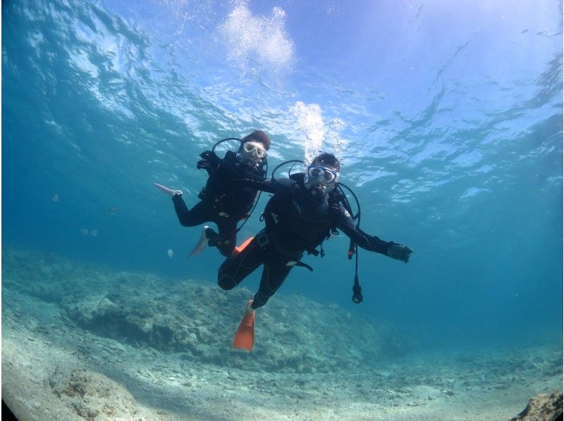 【沖縄北部・本部】お子様でも安心！水中世界を身近に感じる体験ダイビング（ビーチダイブ）の紹介画像