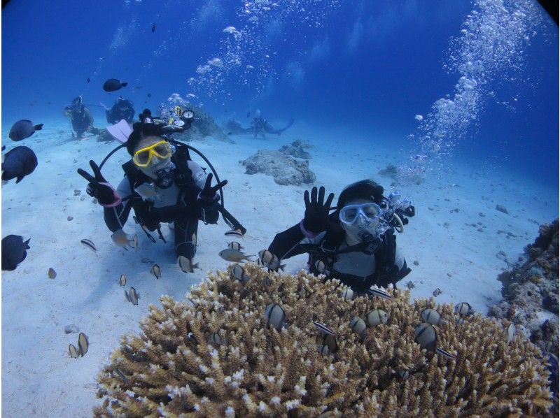 【ジャングリア沖縄に近い水納島・瀬底島】お得なシュノーケリング＆体験ダイビングセットコース！カップル・女子旅にオススメ！の紹介画像