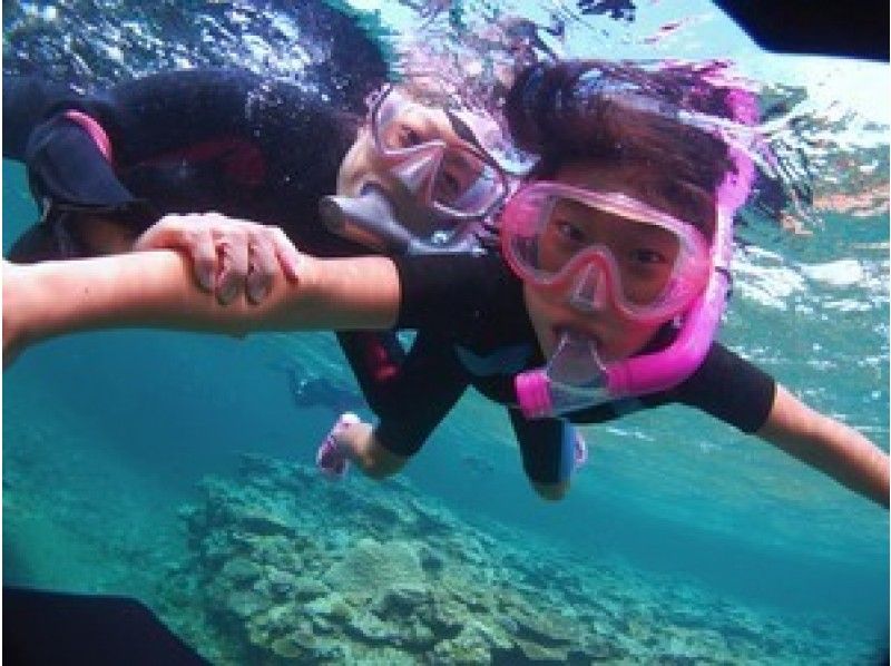 シーメリリーの割引プラン