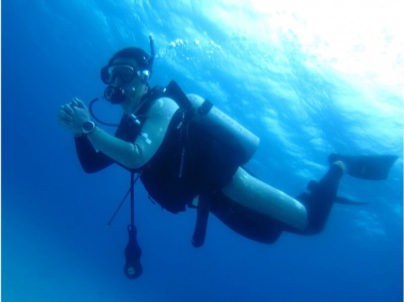 【沖縄・石垣島】ダイビングのライセンス取得！アドバンスドオープンウォーター（ADW）コースの紹介画像