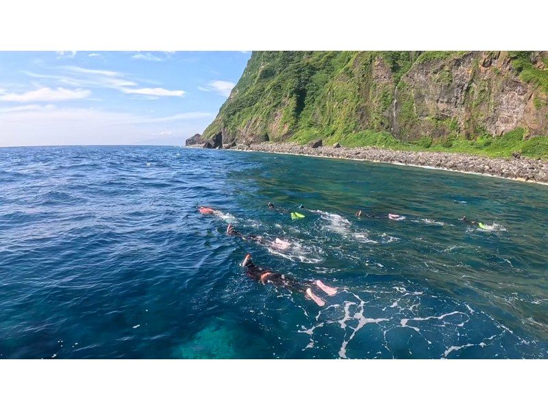 【東京 三宅島】野生のイルカと泳ぐドルフィンスイムツアー【半日】の紹介画像