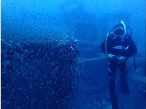 香川 瀬戸内海 海のいろいろを学ぼう アドバンスド ダイバーコース アクティビティジャパン