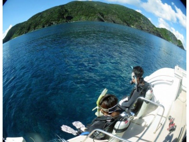 【慶良間】ケラマ諸島 ボート体験ダイビング２回付　少人数にて【1日コース】の紹介画像