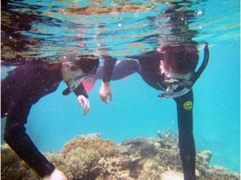 [โอกินาว่า・ เกาะอิชิงากิการดำน้ำตื้น(Snorkeling)คุณไม่ต้องว่ายน้ำ! ลองดูทะเลที่สวยงามของเกาะอิชิงากิ! หลักสูตรหนึ่งวัน!の紹介画像